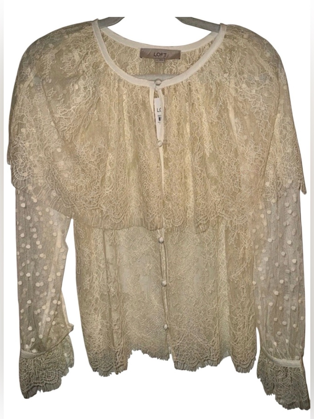 LOFT Cream Lace Button-Front Sheer Blouse